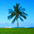������ ����� Best Travel Club